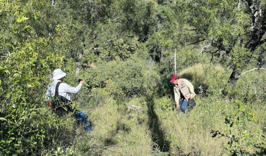 Refuerzan acciones para preservar riqueza ambiental estatal