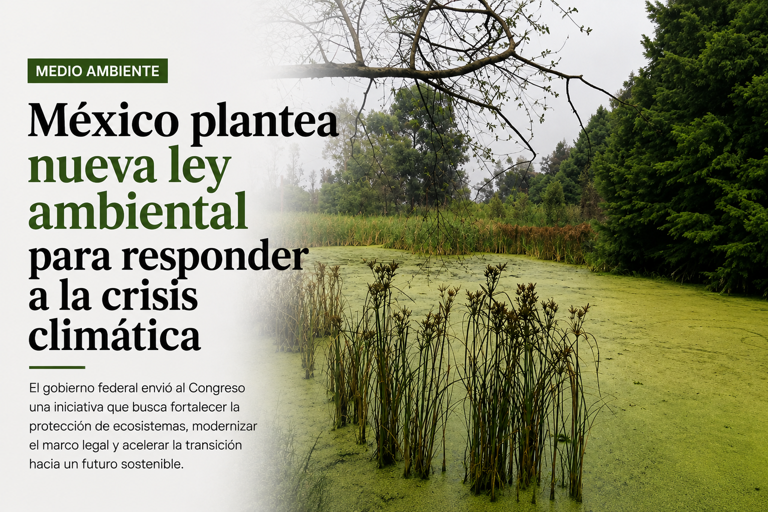México plantea nueva ley ambiental para responder a la crisis climática